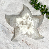 Druzy Agate Starfish AGST-07 - Nature's Magick