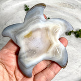 Druzy Agate Starfish STAR04 - Nature's Magick