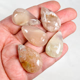 Flower Agate Teardrop Cabochon FWR - Nature's Magick