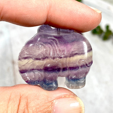 Fluorite Elephant FLE-01 - Nature's Magick