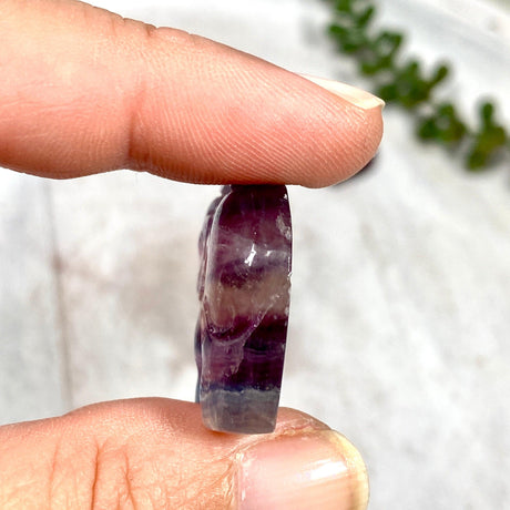 Fluorite Elephant FLE-01 - Nature's Magick