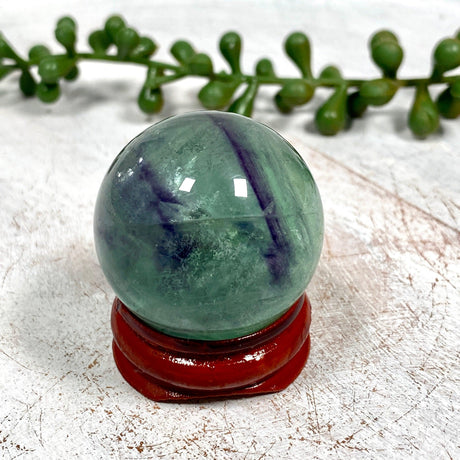 Fluorite Mini Sphere FMS-10 - Nature's Magick