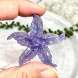 Fluorite Starfish FLS - Nature's Magick