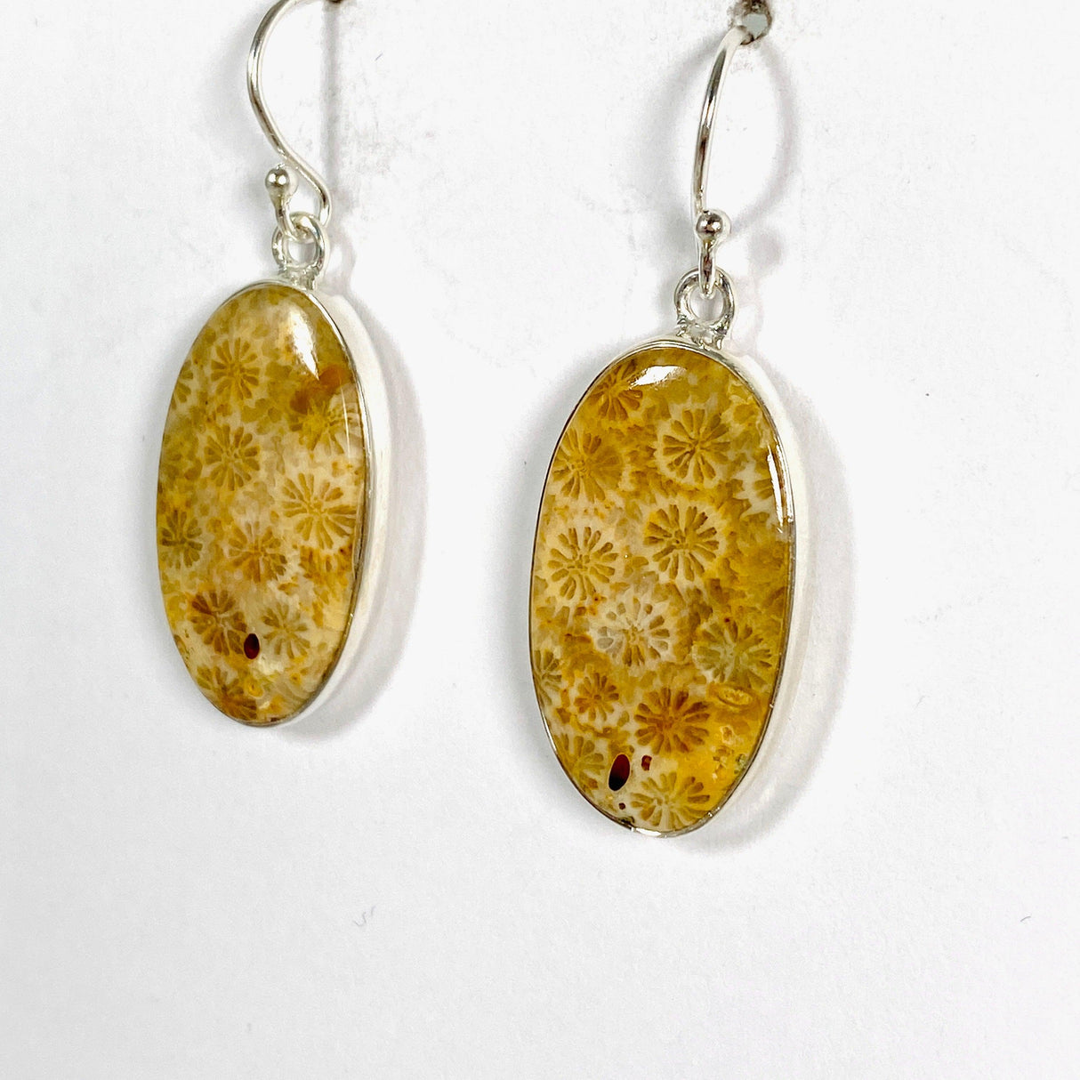 Fossilated Coral Oval Earrings KEGJ1378 - Nature's Magick