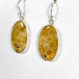 Fossilated Coral Oval Earrings KEGJ1378 - Nature's Magick