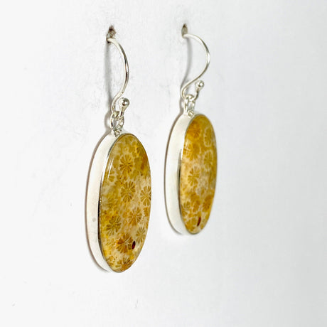 Fossilated Coral Oval Earrings KEGJ1378 - Nature's Magick