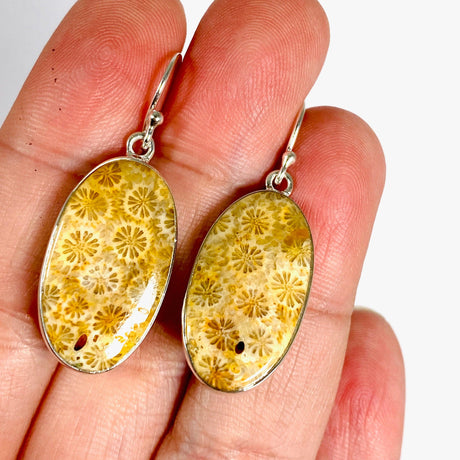 Fossilated Coral Oval Earrings KEGJ1378 - Nature's Magick