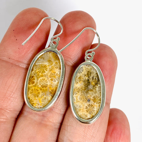 Fossilated Coral Oval Earrings KEGJ1378 - Nature's Magick