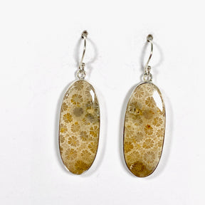 Fossilated Coral Oval Earrings KEGJ1379 - Nature's Magick