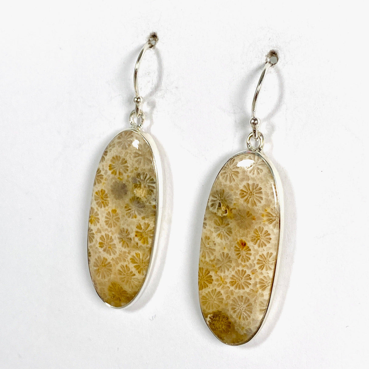 Fossilated Coral Oval Earrings KEGJ1379 - Nature's Magick