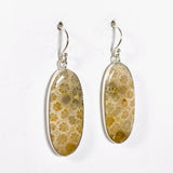 Fossilated Coral Oval Earrings KEGJ1379 - Nature's Magick