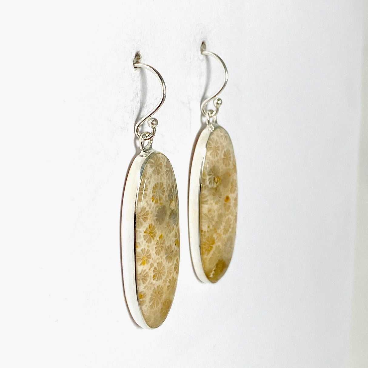 Fossilated Coral Oval Earrings KEGJ1379 - Nature's Magick