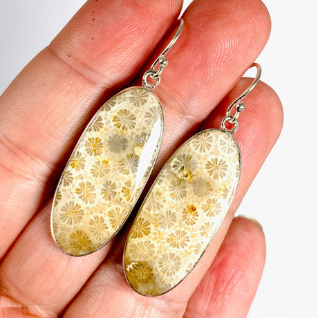 Fossilated Coral Oval Earrings KEGJ1379 - Nature's Magick