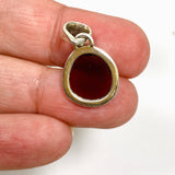 Garnet Freeform Faceted Pendant PPGJ1160