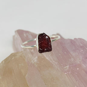Garnet Raw Crystal Fine Band Ring R3701-GA - Nature's Magick