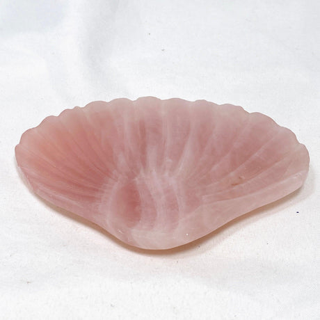 Gemstone Dish - Rose Quartz Shell Dish RQSS - Nature's Magick