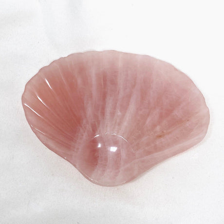 Gemstone Dish - Rose Quartz Shell Dish RQSS - Nature's Magick