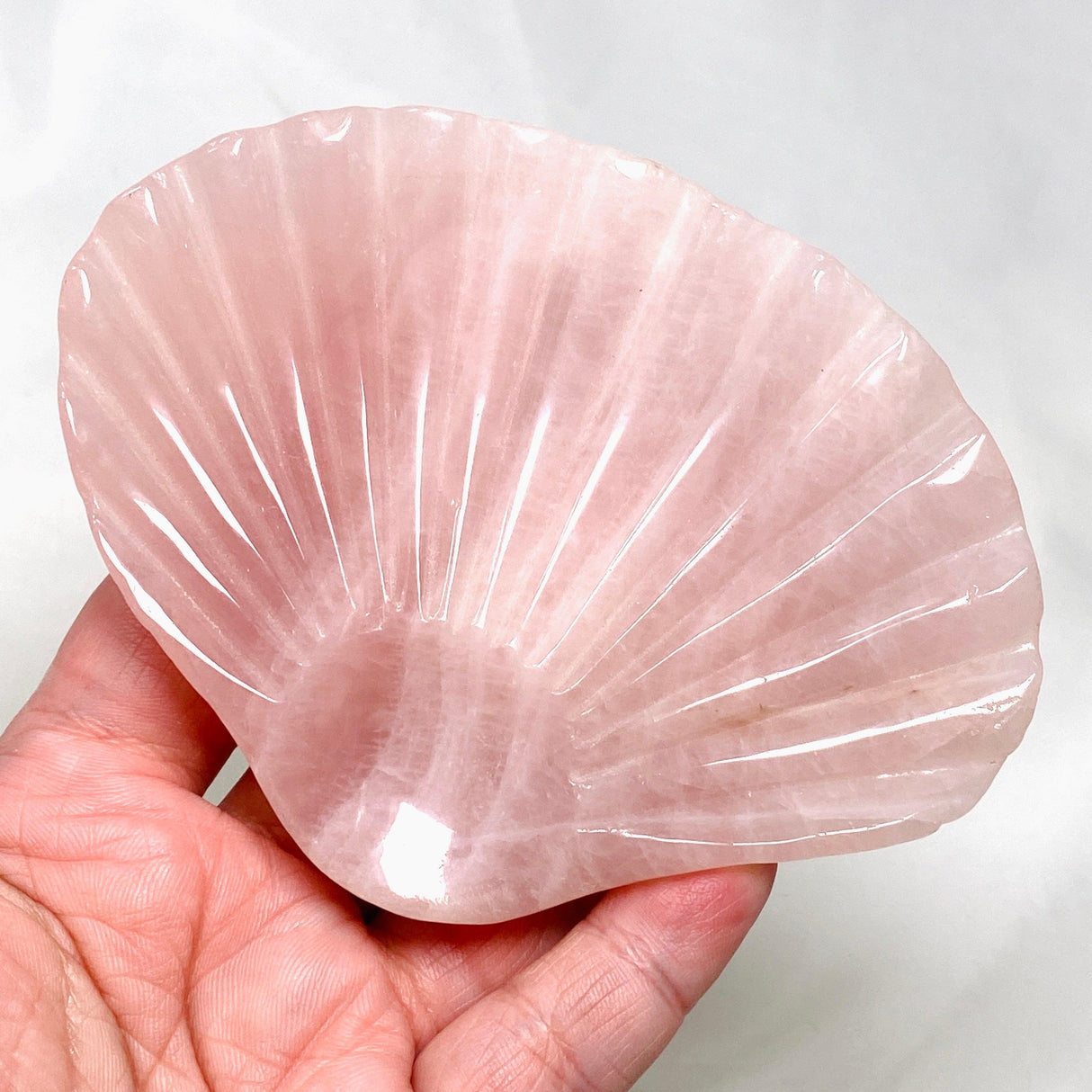 Gemstone Dish - Rose Quartz Shell Dish RQSS - Nature's Magick