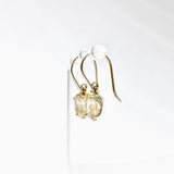 Golden Rutile Oval Faceted Earrings PEGJ380