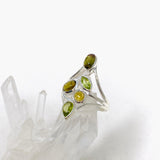 Green Tourmaline and Peridot Multistone Gemstone Ring in a Decorative Setting R4796 - Nature's Magick