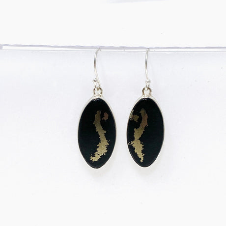 Healer's Gold Oval Earrings KEGJ1478 - Nature's Magick