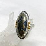 Healer's Gold Oval Ring with Brass Accents Size 11 KRGJ3196 - Nature's Magick