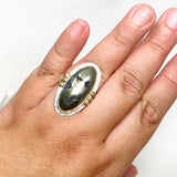 Healer's Gold Oval Ring with Brass Accents Size 11 KRGJ3196 - Nature's Magick