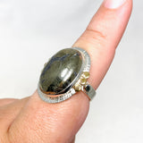 Healer's Gold Oval Ring with Brass Accents Size 9 KRGJ3195 - Nature's Magick