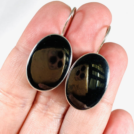 Hematite Oval Fixed Hook Earrings KEGJ1098 - Nature's Magick