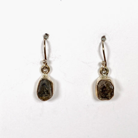 Herkimer Diamond raw earrings E2359-HD