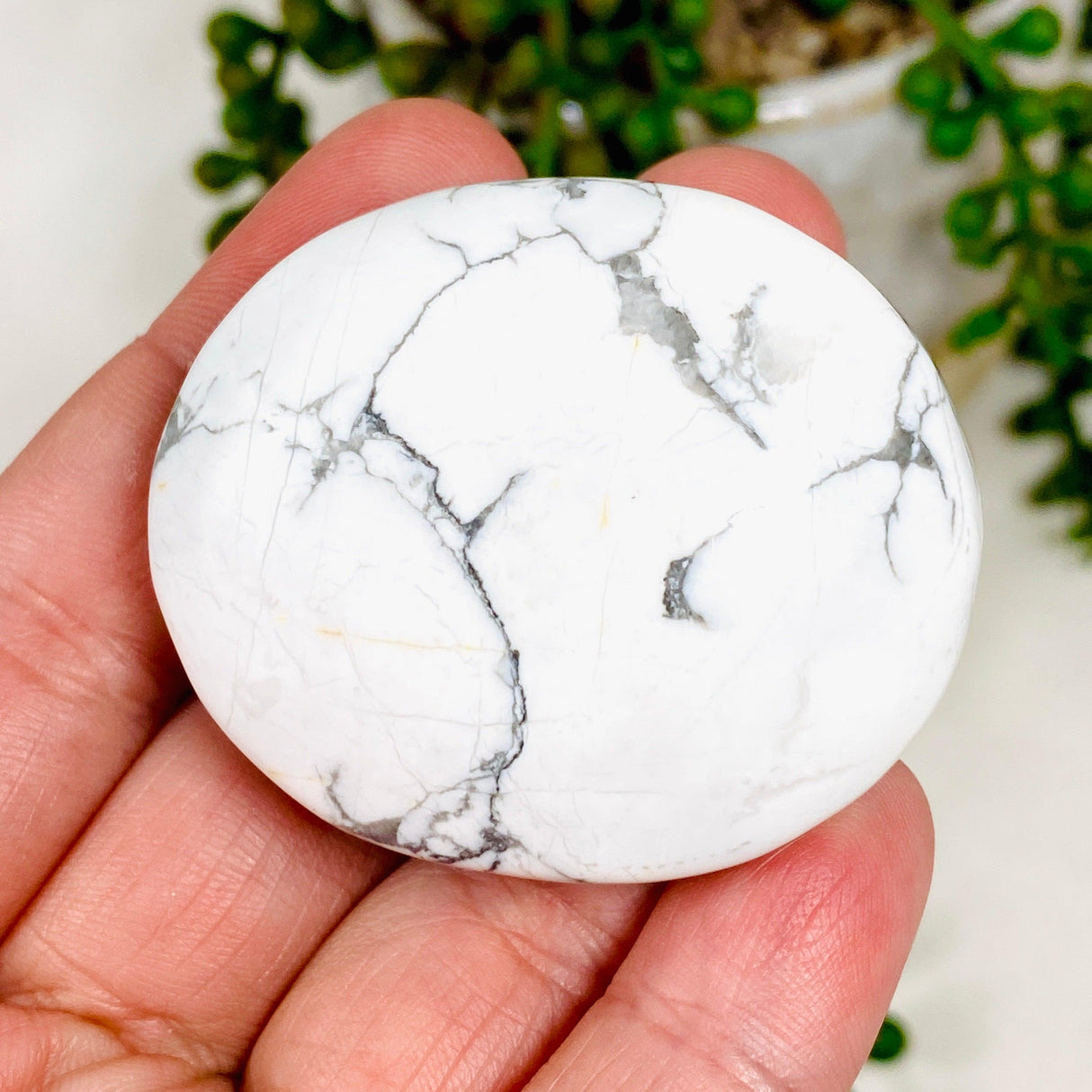 Howlite Palmstone HWP - Nature's Magick