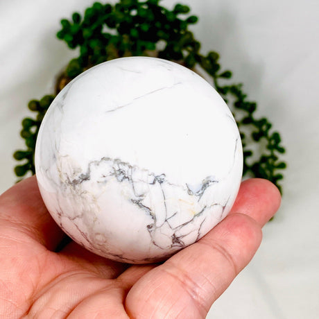 Howlite Sphere HS-02 - Nature's Magick