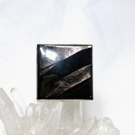 Hypersthene Square Split Band Ring Size 10 KRGJ3154 - Nature's Magick