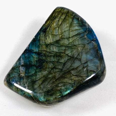 Labradorite Freeform LBFR-02 - Nature's Magick