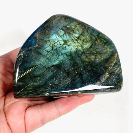 Labradorite Freeform LBFR-02 - Nature's Magick