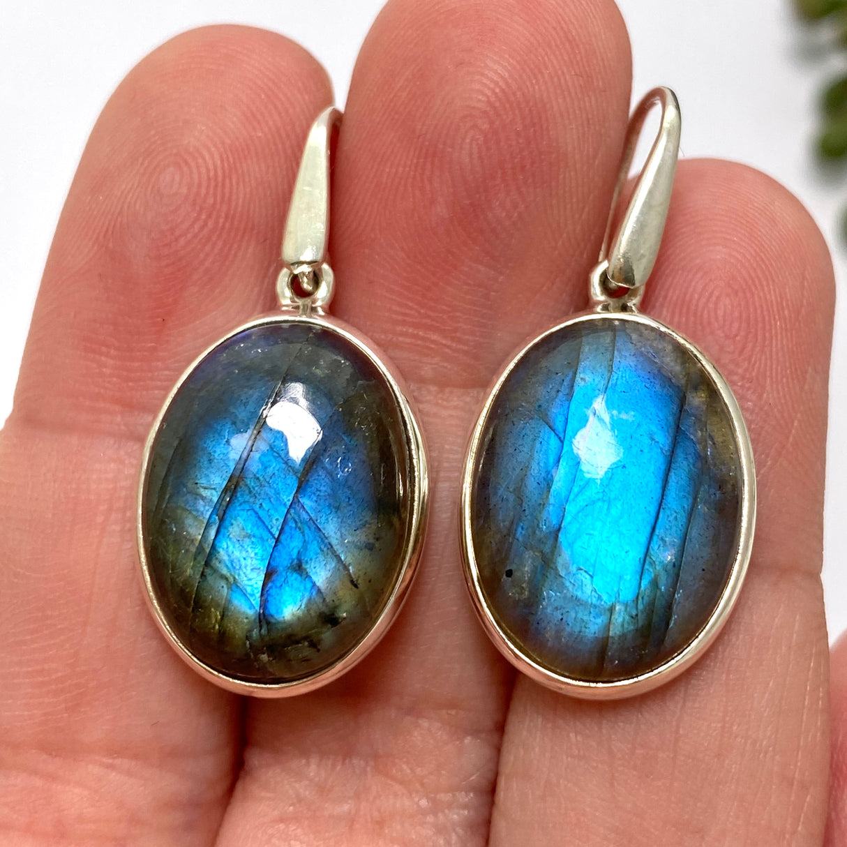 Labradorite Oval Cabochon Earrings PEGJ266