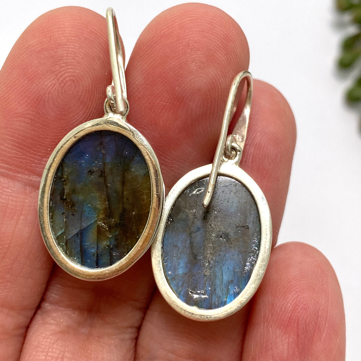 Labradorite Oval Cabochon Earrings PEGJ266