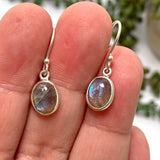 Labradorite Oval Cabochon Earrings PEGJ267