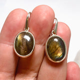 Labradorite Oval Cabochon Earrings PEGJ390