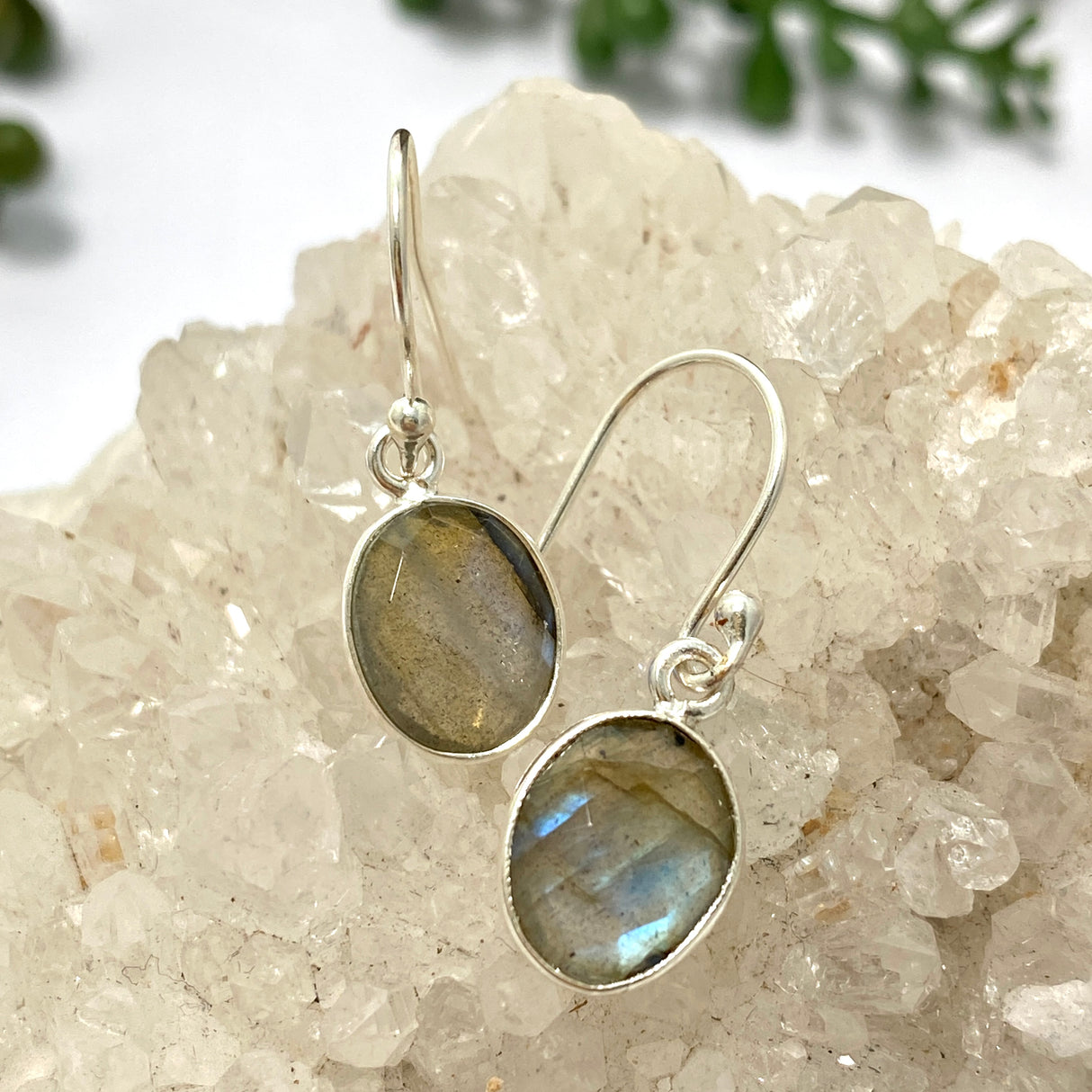 Labradorite Oval Checkerboard Faceted Earrings PEGJ273