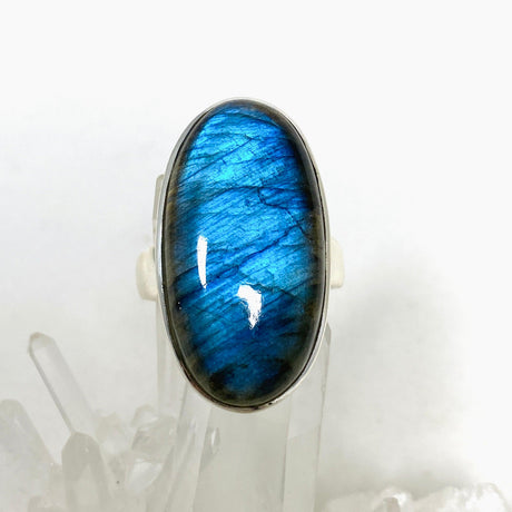 Labradorite Oval Ring Size 11 PRGJ435 - Nature's Magick