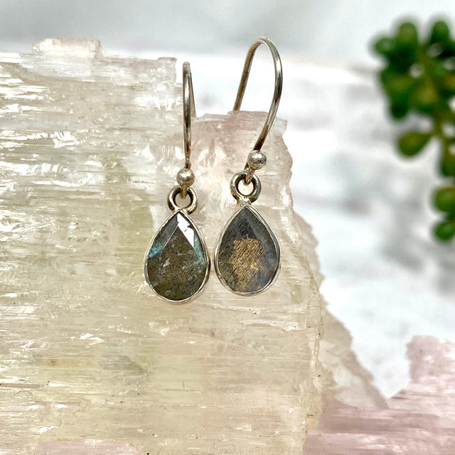 Labradorite petite teardrop faceted earrings R2363-LBD - Nature's Magick