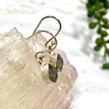 Labradorite petite teardrop faceted earrings R2363-LBD - Nature's Magick