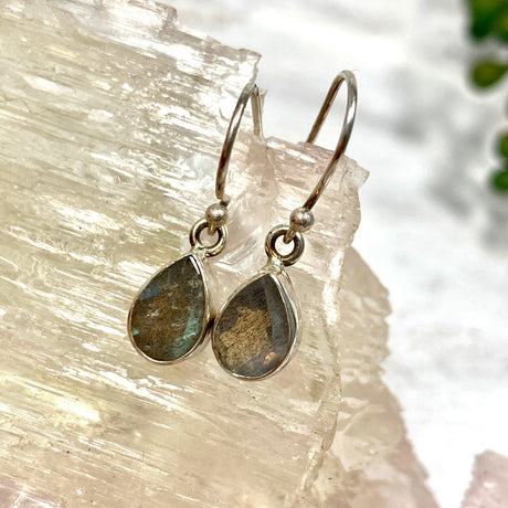 Labradorite petite teardrop faceted earrings R2363-LBD - Nature's Magick