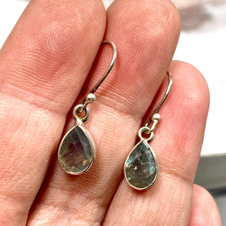 Labradorite petite teardrop faceted earrings R2363-LBD - Nature's Magick