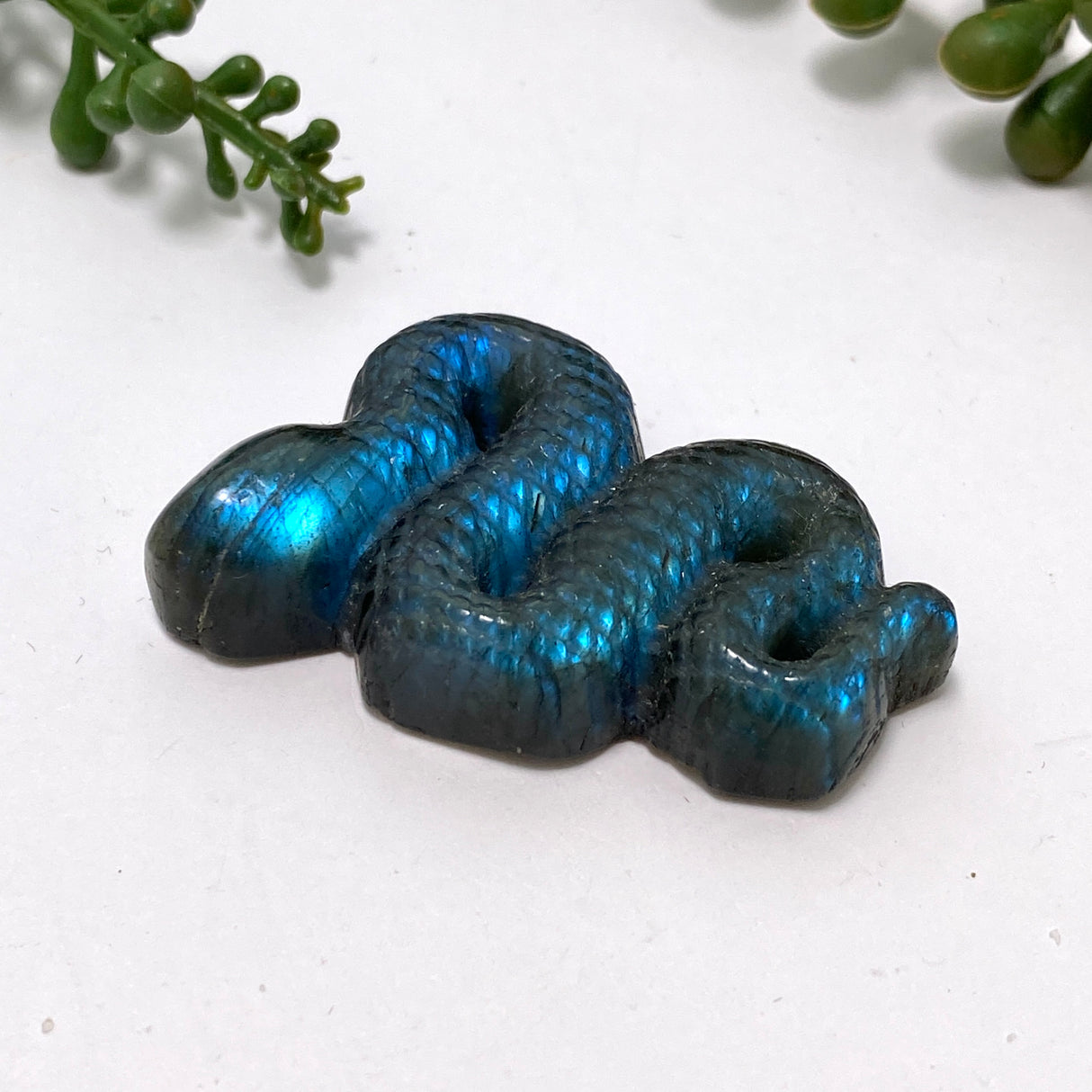 Labradorite slithering snake LABSN-01