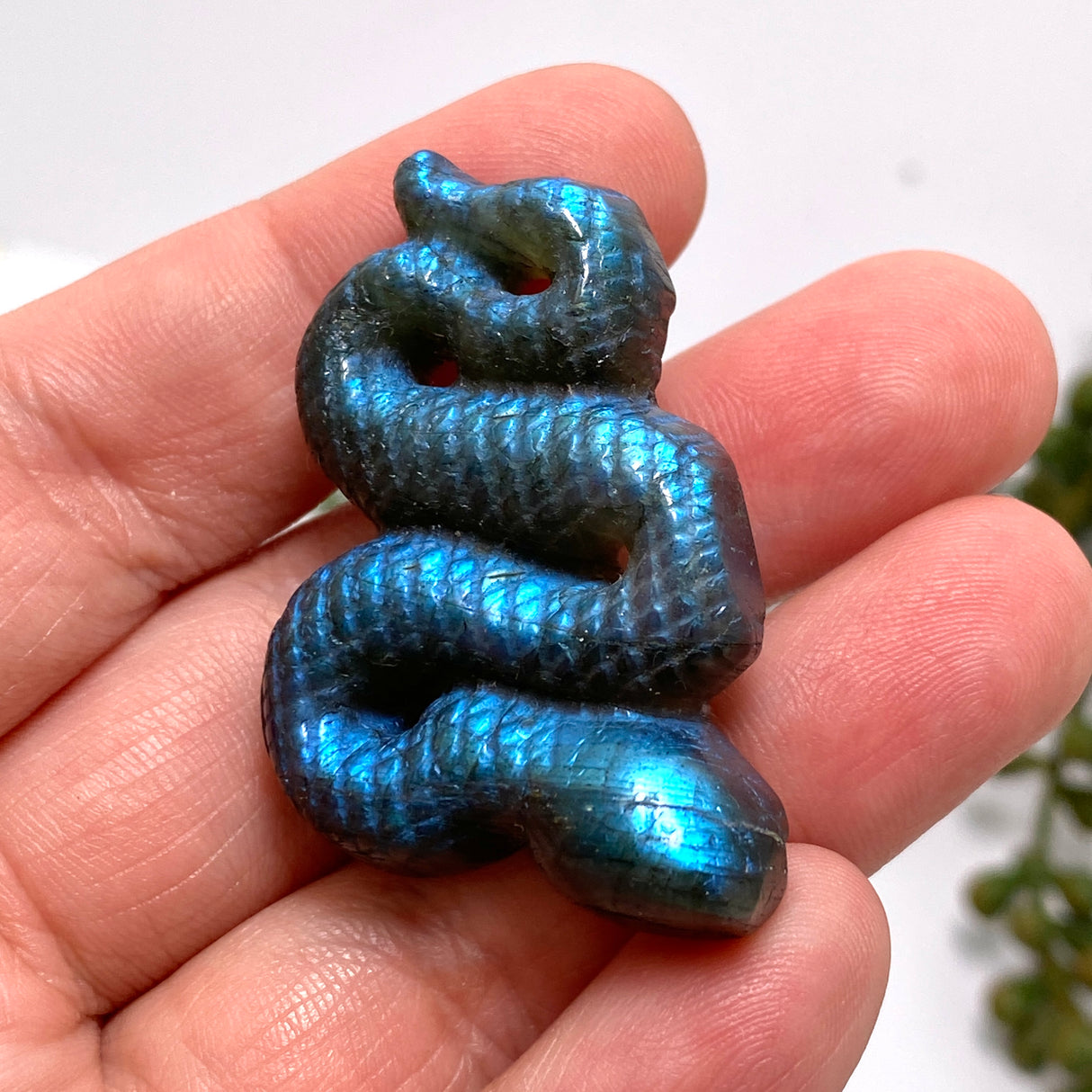 Labradorite slithering snake LABSN-01