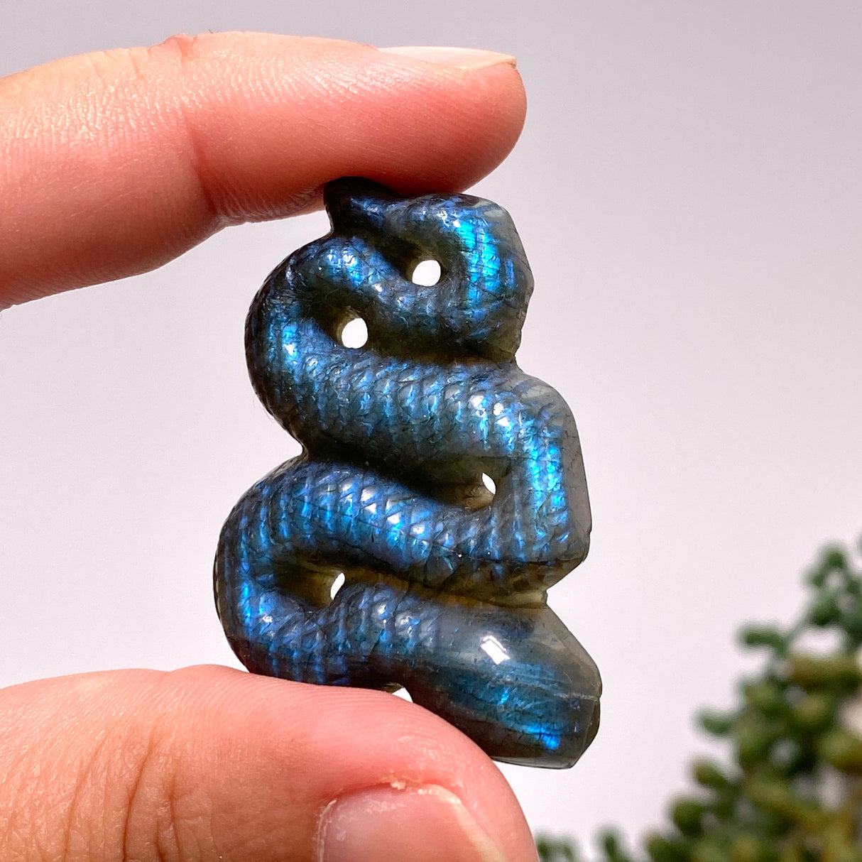 Labradorite slithering snake LABSN-01