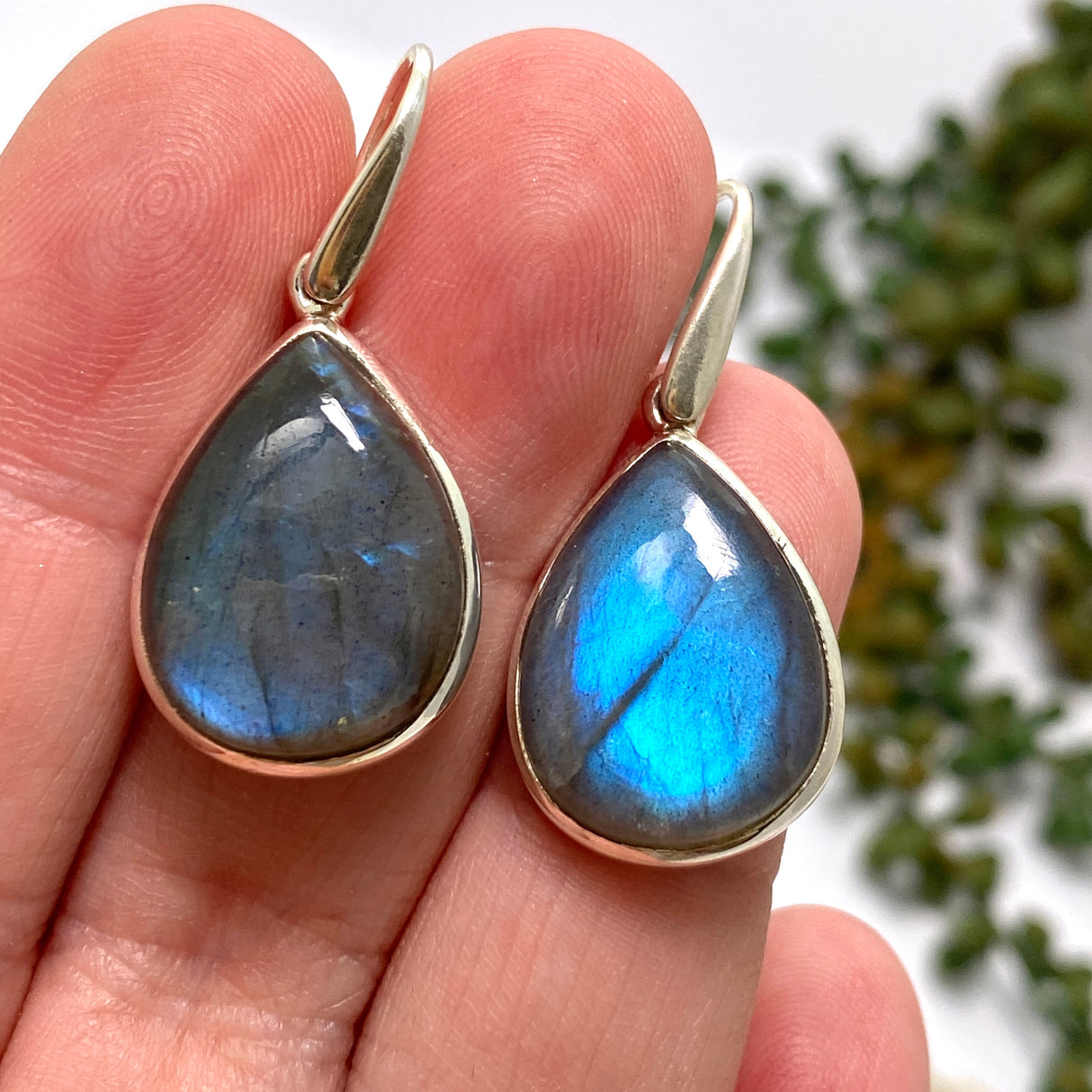 Labradorite Teardrop Cabochon Earrings PEGJ269