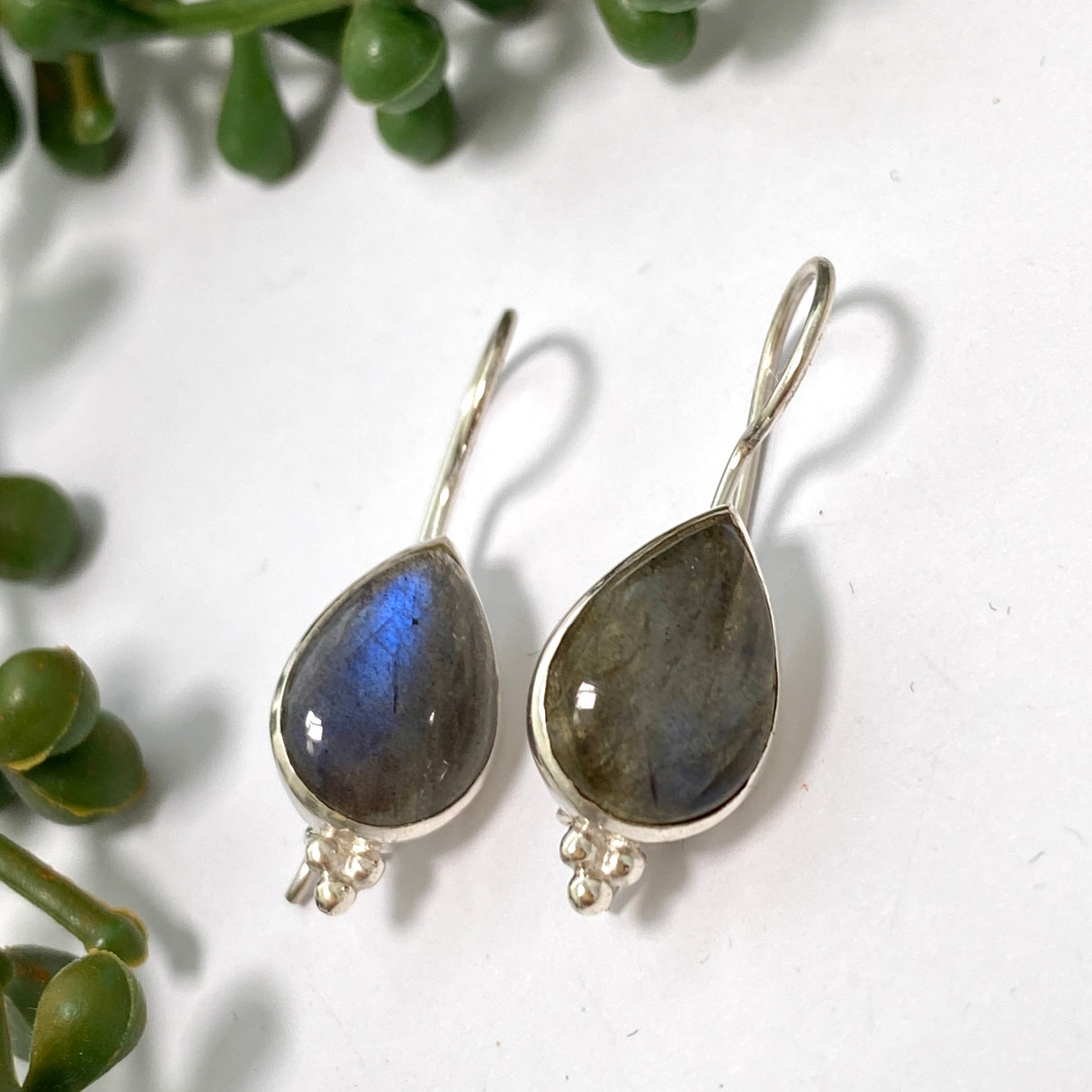 Labradorite Teardrop Cabochon Fixed Hook Earrings PEGJ271